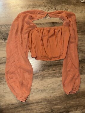 Express Rust Orange Off-Shoulder Crop Top with Sheer Balloon Sleeves